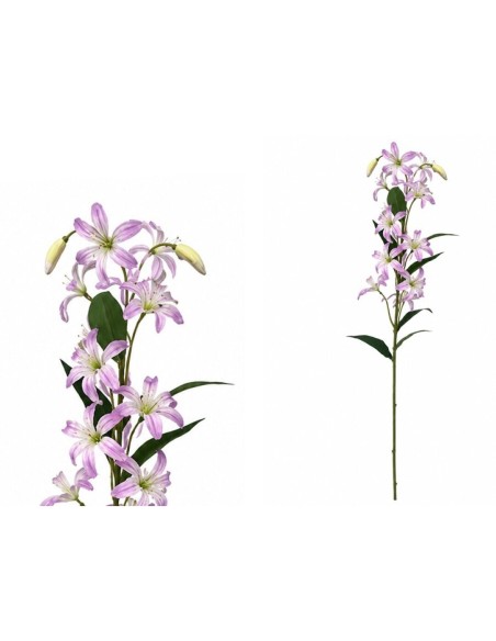 VARA LILIES R/T X 12-74 CM (VIOLETA)