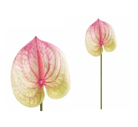 VARA ANTHURIUM 3D PRINTED -60CM (ROSA)