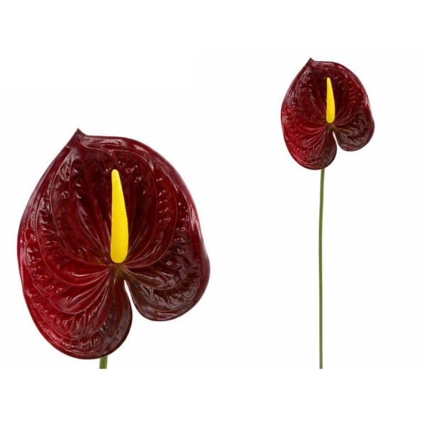 VARA ANTHURIUM 3D PRINTED -60CM (ROJO)