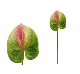 VARA ANTHURIUM 3D PRINTED -60CM (VERDE)