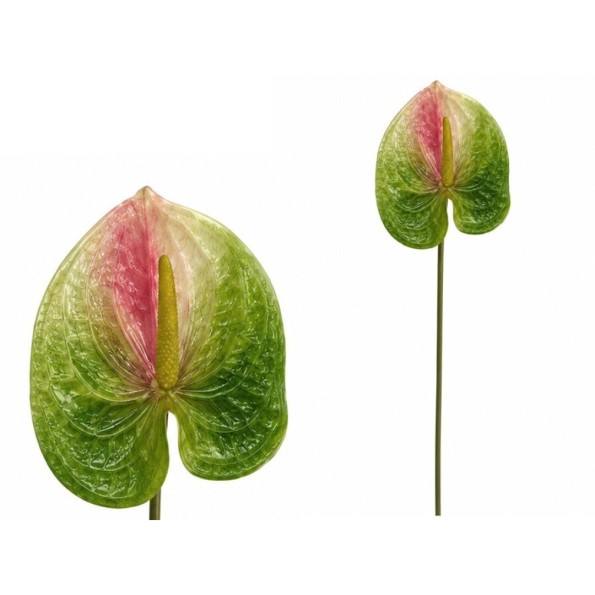 VARA ANTHURIUM 3D PRINTED -60CM (VERDE)