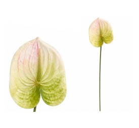 VARA ANTHURIUM 3D PRINTED -60CM (BLANCO)
