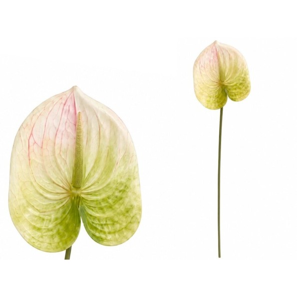 VARA ANTHURIUM 3D PRINTED -60CM (BLANCO)