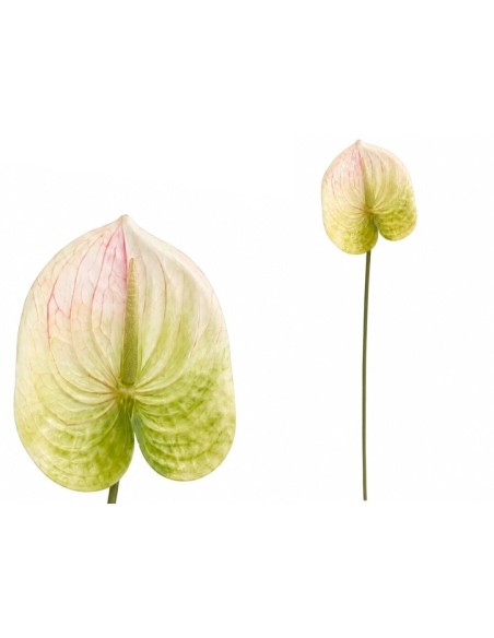 VARA ANTHURIUM 3D PRINTED -60CM (BLANCO)