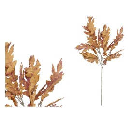 VARA OAK X 16 - 86 CM (TE)