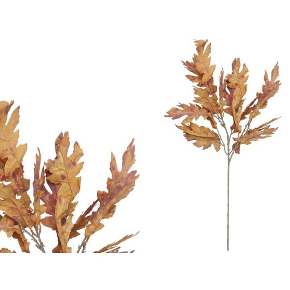 VARA OAK X 16 - 86 CM (TE)