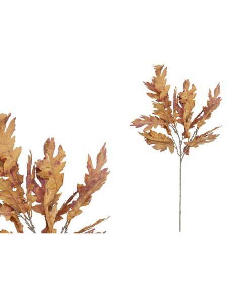 VARA OAK X 16 - 86 CM (TE)