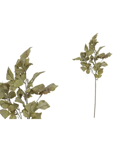 VARA MAPLE X 4 - 80 CM (VERDE CL)