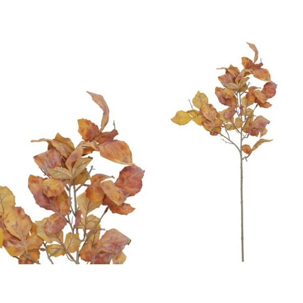 VARA MAPLE X 4 - 80 CM (TE)