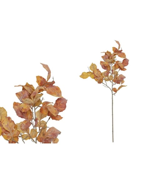VARA MAPLE X 4 - 80 CM (TE)