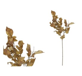 VARA MAPLE X 4 - 80 CM (MARRON)