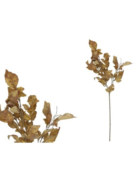 VARA MAPLE X 4 - 80 CM (MARRON)