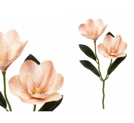 VARA MAGNOLIA R/T X 2 - 42 CM (TE)