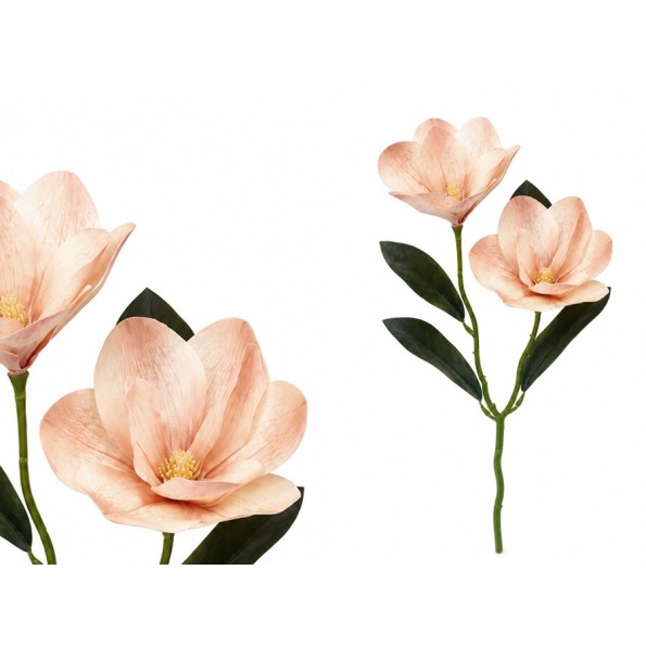 VARA MAGNOLIA R/T X 2 - 42 CM (TE)