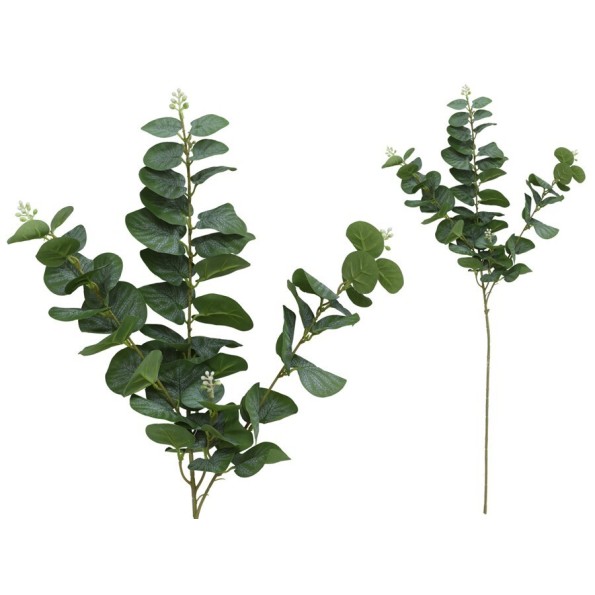 VARA EUCALIPTO C/BAYAS X 3-80 CM (VERDE)