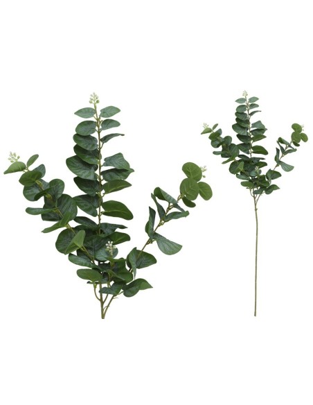 VARA EUCALIPTO C/BAYAS X 3-80 CM (VERDE)