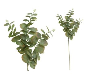 VARA EUCALIPTO C/BAYAS X 3-80 CM (V/CL)