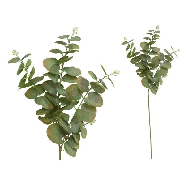 VARA EUCALIPTO C/BAYAS X 3-80 CM (V/CL)