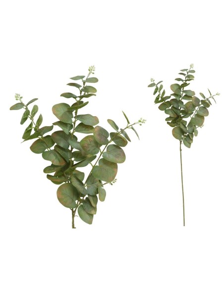 VARA EUCALIPTO C/BAYAS X 3-80 CM (V/CL)