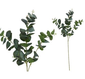VARA EUCALIPTO C/BAYAS X 3-80 CM (V/RJ)