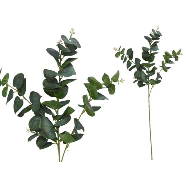 VARA EUCALIPTO C/BAYAS X 3-80 CM (V/RJ)
