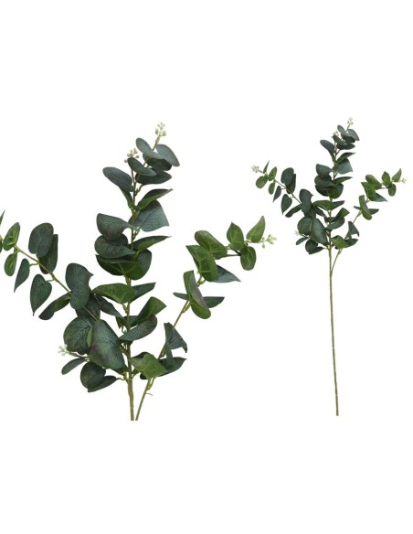 VARA EUCALIPTO C/BAYAS X 3-80 CM (V/RJ)