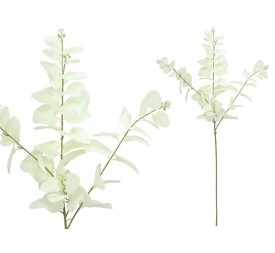 VARA EUCALIPTO C/BAYAS X 3-80 CM (BL)