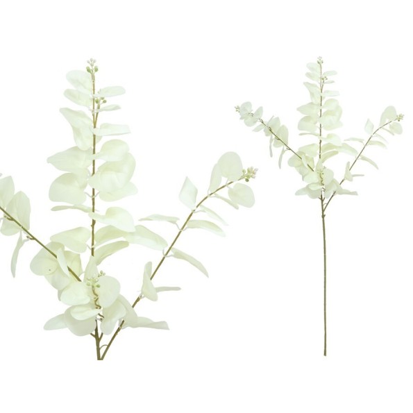 VARA EUCALIPTO C/BAYAS X 3-80 CM (BL)