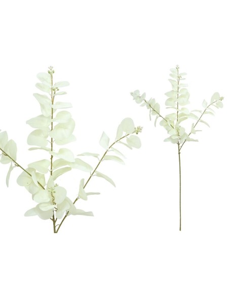VARA EUCALIPTO C/BAYAS X 3-80 CM (BL)