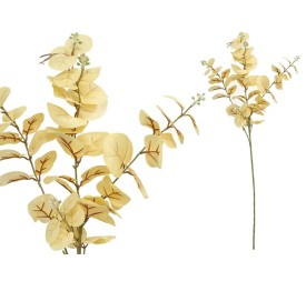 VARA EUCALIPTO C/BAYAS X 3-80 CM (CREMA)