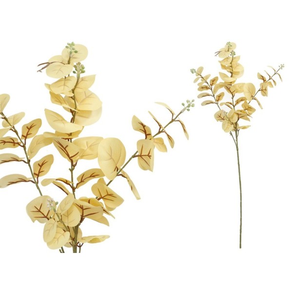 VARA EUCALIPTO C/BAYAS X 3-80 CM (CREMA)