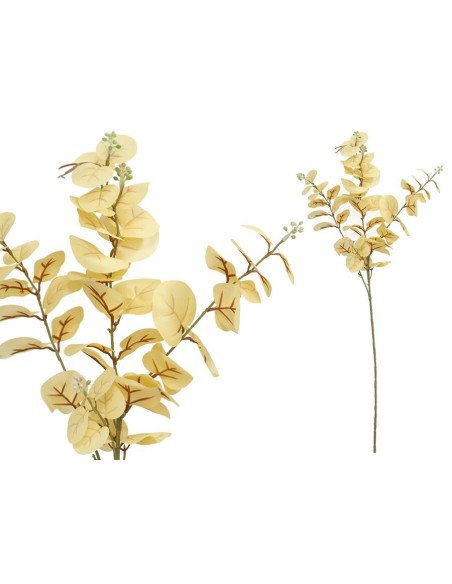 VARA EUCALIPTO C/BAYAS X 3-80 CM (CREMA)
