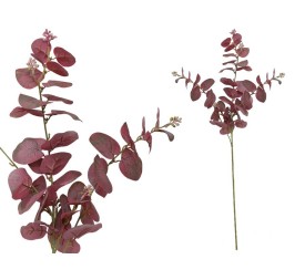 VARA EUCALIPTO C/BAYAS X 3-80 CM (BUR)