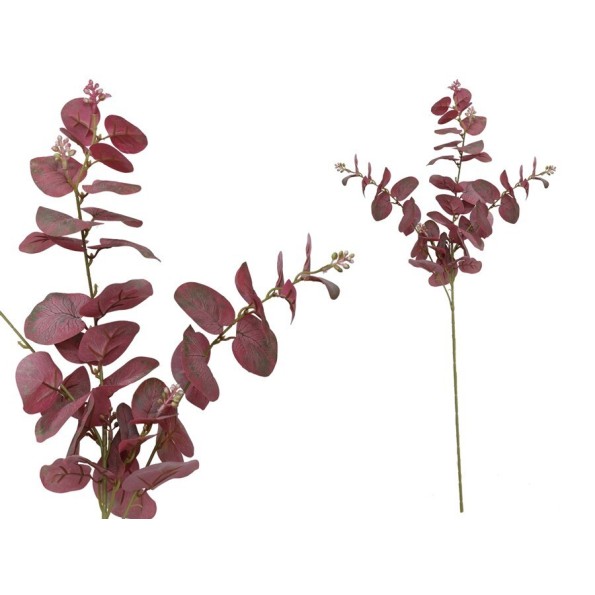 VARA EUCALIPTO C/BAYAS X 3-80 CM (BUR)