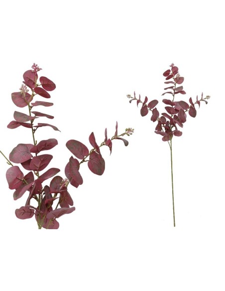 VARA EUCALIPTO C/BAYAS X 3-80 CM (BUR)