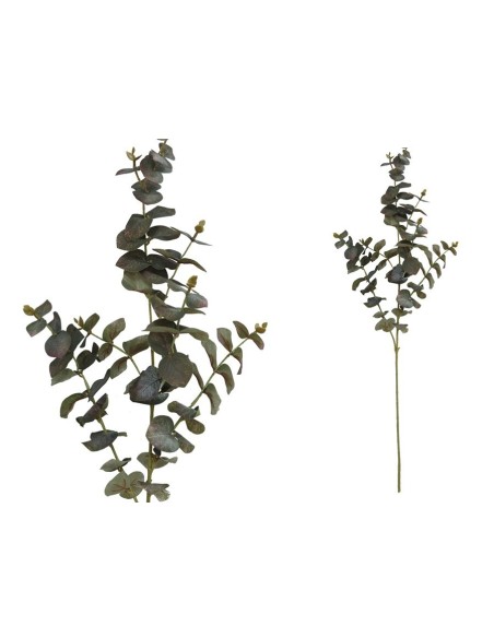 VARA EUCALIPTO X 6 - 90 CM (VERDE/RJ)