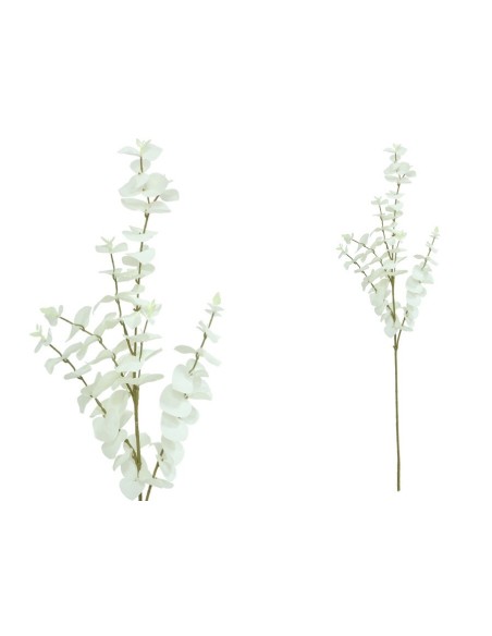 VARA EUCALIPTO X 6 - 90 CM (BLANCO)