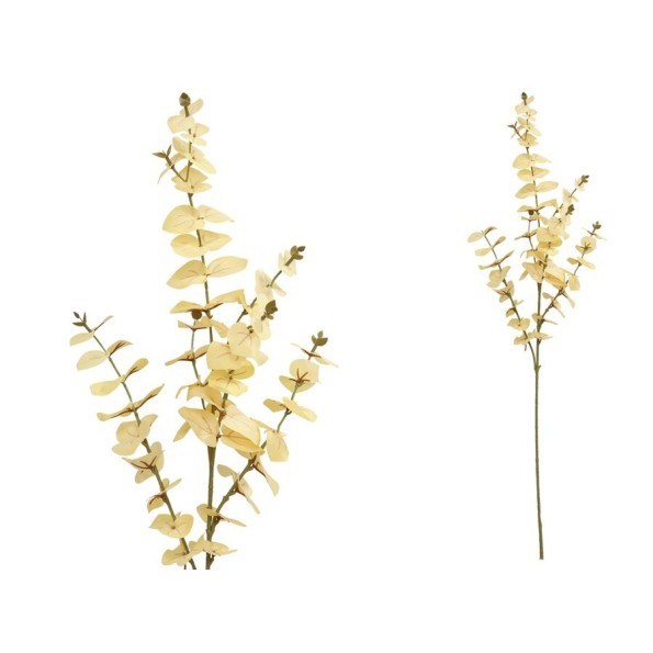 VARA EUCALIPTO X 6 - 90 CM (CREMA)