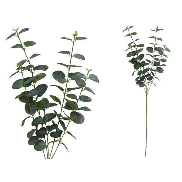 VARA EUCALIPTO X 5 - 88 CM (VERDE/RJ)