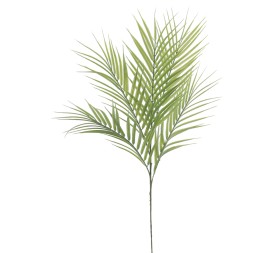 PALM X 5 66 CMS (2195-09)
