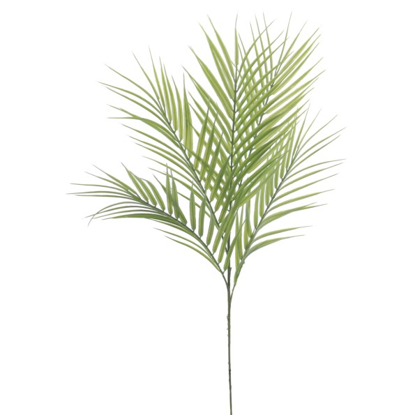 PALM X 5 66 CMS (2195-09)