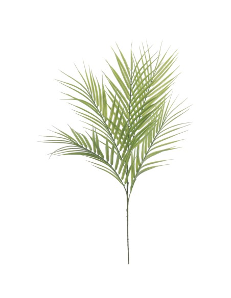 PALM X 5 66 CMS (2195-09)