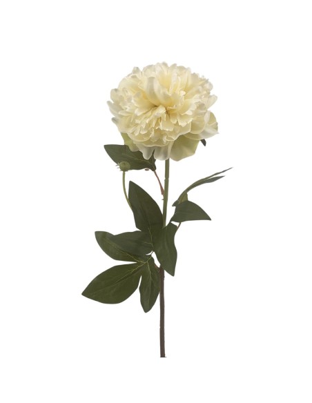 PEONIA (2510-01)