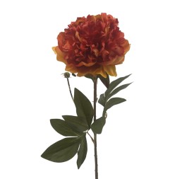 PEONIA (2510-51)