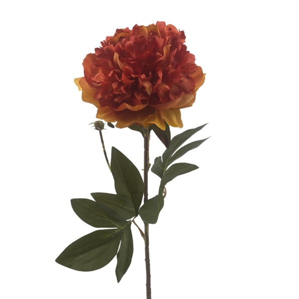 PEONIA (2510-51)