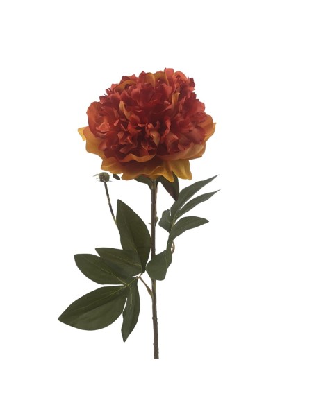 PEONIA (2510-51)