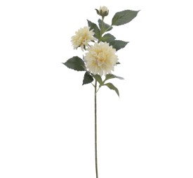 DALHIA X 3 56 CMS (2512-01)