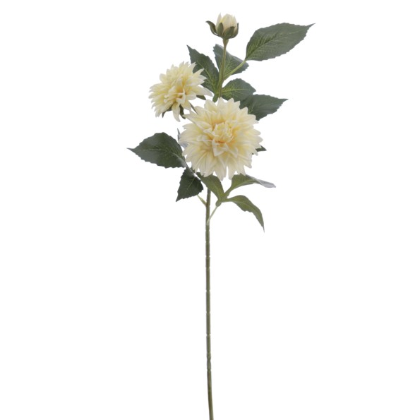 DALHIA X 3 56 CMS (2512-01)