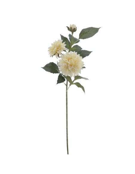 DALHIA X 3 56 CMS (2512-01)