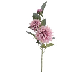 DALHIA X 3 56 CMS (2512-06)